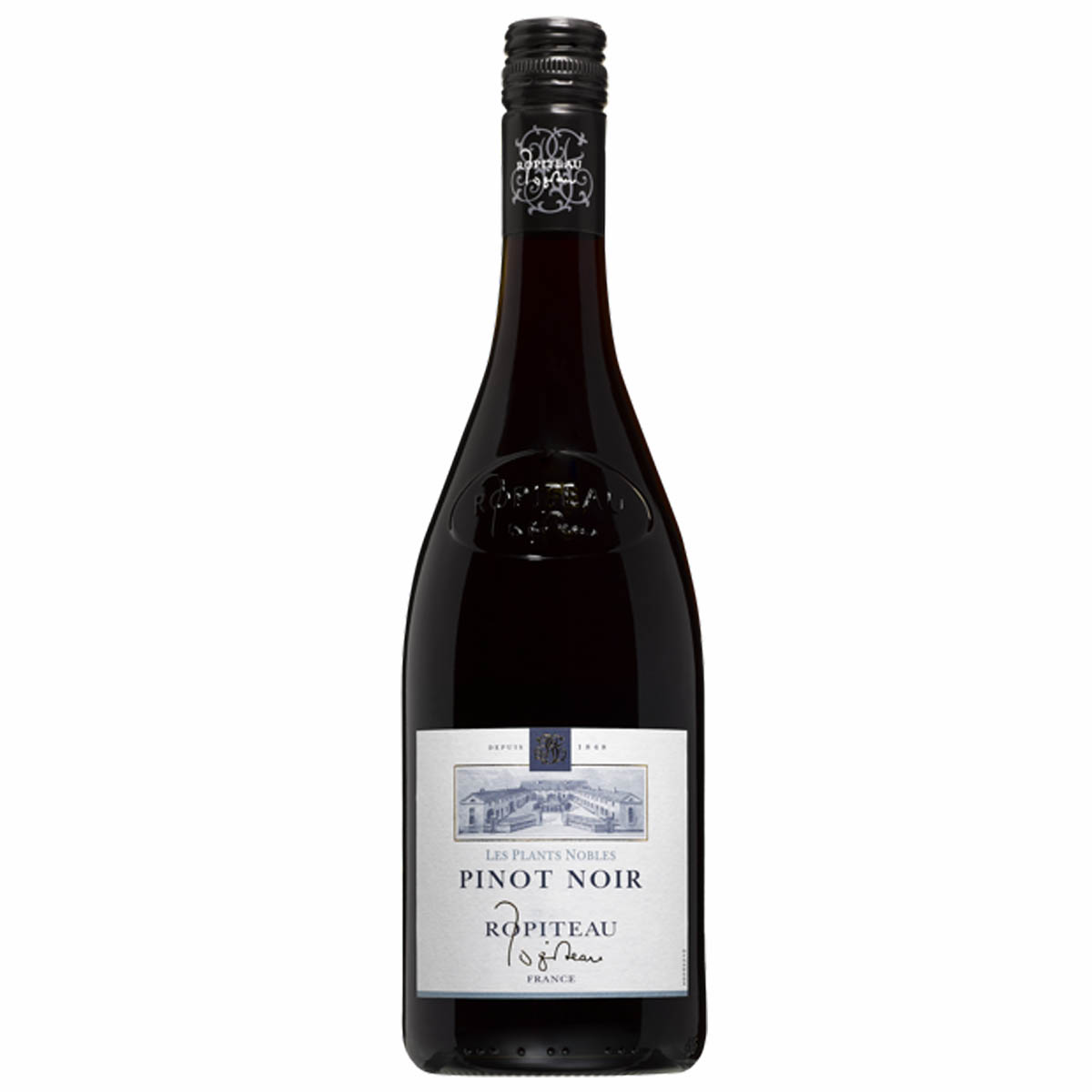 Pinot Noir