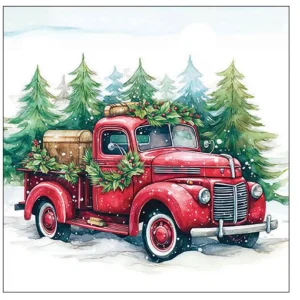 Kerstservetten "Van in the Snow"